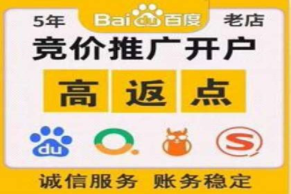 竞价广告策略：网络推广在旅游行业的运用案例
